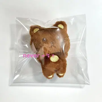NCT DREAM 마그넷 인형 키링 헤찬