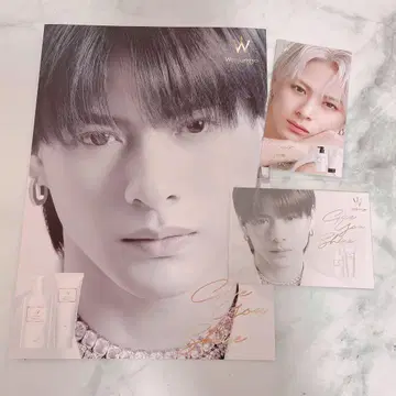 히라노 쇼 원정요 리플렛