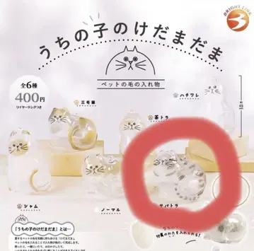 우리 아이의 털뭉치 사바트라