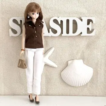 제니 쨩 의류 5세트 핸드메이드 27cm 인형 브라운 슬리브리스