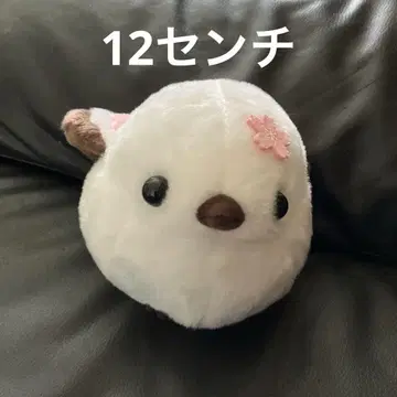 새상품 복슬복슬 시마에나가 봉제 인형 12cm