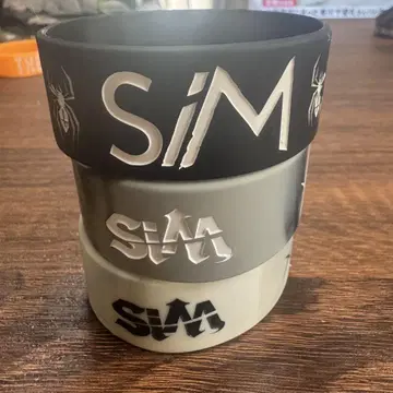 SiM 투어 라바반
