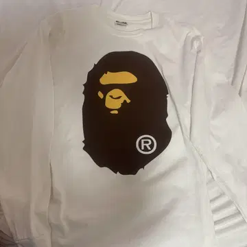 APE 롱 T