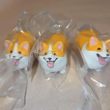 좋은 막대기를 겟한 개 코기 3마리