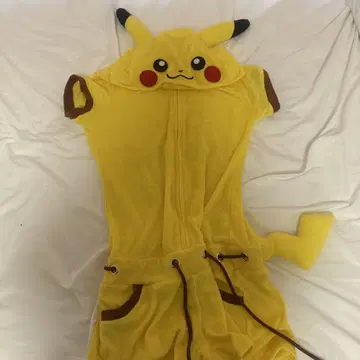 피카츄 콤비네존