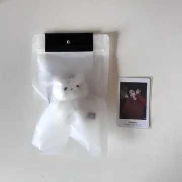 THE BOYZ Q 큐 봉제 인형 키링 미사용 새상품