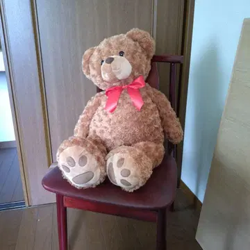 브라운 곰 봉제 인형