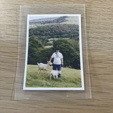 포인티 상담 천국 혜택 스티커