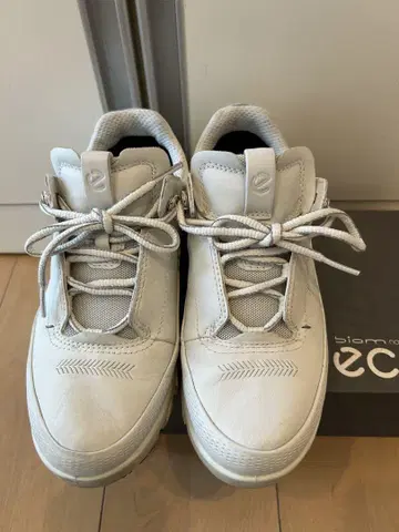 ECCO 멀티 벤트 로우 36
