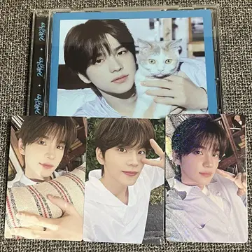 처음 뵙겠습니다, 시뉴 개인판 wevers 혜택