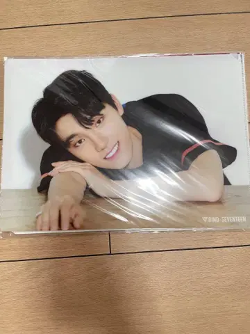 SEVENTEEN 디노 diamond edge 클리어 파일