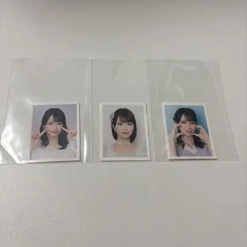 사사키 마이카 ID 사진 묶음 판매