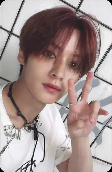 Stray Kids LeeKnow -STAR 트레이딩 카드