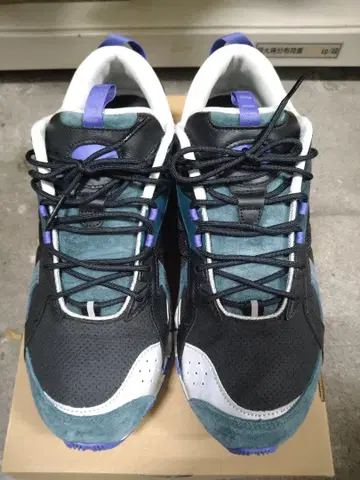 MIZUNO WAVE PROPHECY GRAPHPAPER