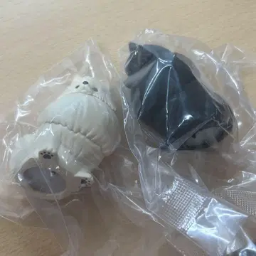 빛나는 목걸이를 한 산책 포메 라이트 미개봉 가챠가챠