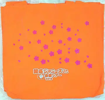 간사이 쟈니즈 Jr. 13년 첫 전국 투어 토트백