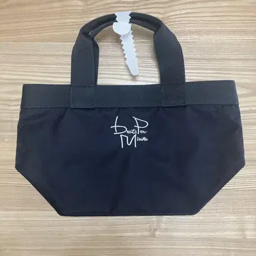 나노 유니버스 토트백 골프 카트 백