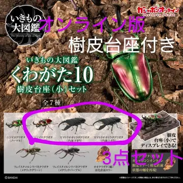 생물대도감 장수풍뎅이 10 온라인 버전
