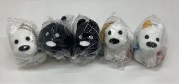 matsui STUFFED TOY 5종 세트 33250701J13S