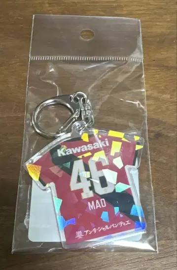 노기자카46 이오키 마오 빗셀 고베 키링