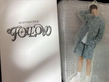 SEVENTEEN 도겸 follow 서울콘 아크릴 키링