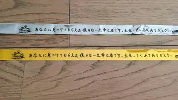 sumika Vermilion's 금테 은테 2권 세트