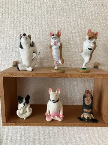 아사쿠마 토시오 ANIMAL LIFE 개 요가 마스터 전 6종 개봉품