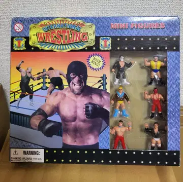 레슬러 6 반지 세트 모듬 International Wrestling