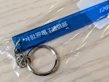 [] 전자통신부 룸 키링
