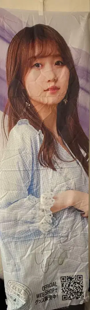 친필 사인 노보리 야쿠보 미오 한여름의 전국 투어 2022