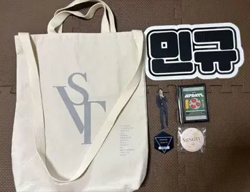 SEVENTEEN 세부치 SVT 돔 투어 백 민규