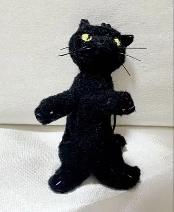 롱트랙후즈 검은 고양이