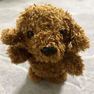 베스트 에버 재팬 토이 푸들 말하는 봉제 인형