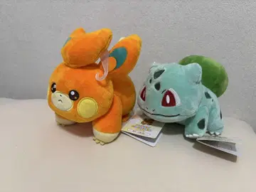 파모와 푸시파키의 봉제 인형 세트