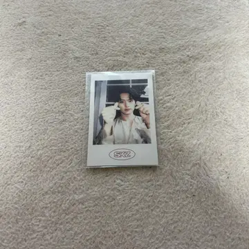 StrayKids 시그리 2021 리노 폴라로이드