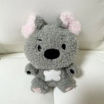 EVNNE 코유니 윤소 이브니즈 koyuni