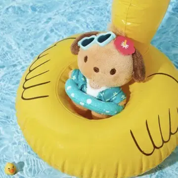 한국 한정판 일광화상 포차코 키링 올리브영