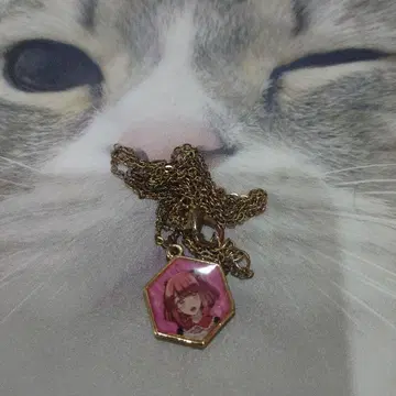 컬러풀피치의 목걸이