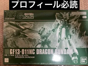 HG 드래곤 건담