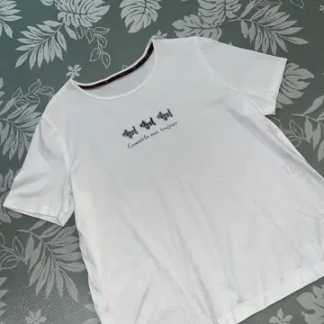 레리안 티셔츠 개 코튼 100% 13+