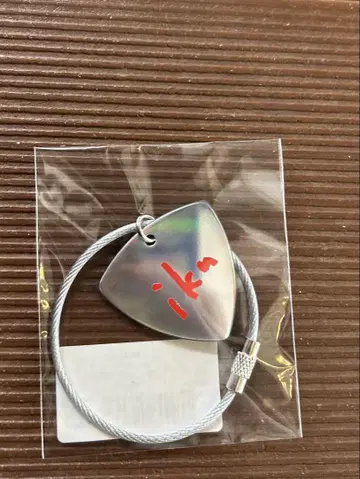 이쿠타 에리카 피크 키링 가나가와 한정판