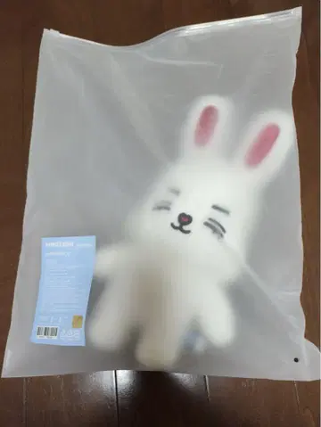SEVENTEEN 에스쿱스 MINITEEN 팝업 봉제 인형