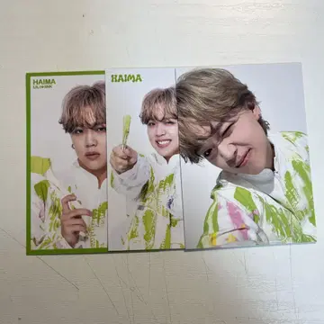 모모타 하야부사 컴프 세트