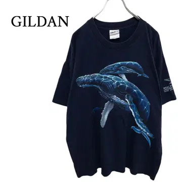 GILDAN 애니멀 고래 리얼 그래픽 티셔츠 C-4895