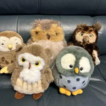 올빼미 봉제 인형 5개 세트