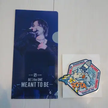 비 퍼스트 소타 와펜