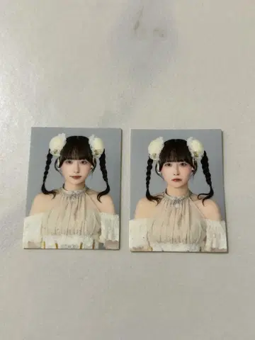 '큐루린'을 해보세요 시마무라 기우타 증명 사진 세트