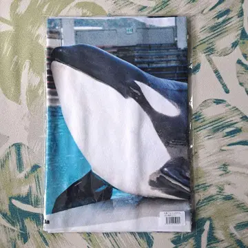 카모가와 씨월드 55주년 샤치 타월