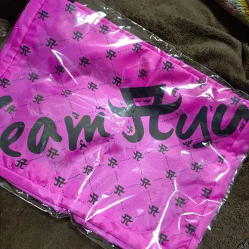 하마사키 아유미 teamayu 트래블 백