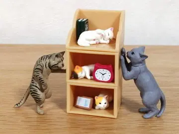 미니어처 고양이 세트